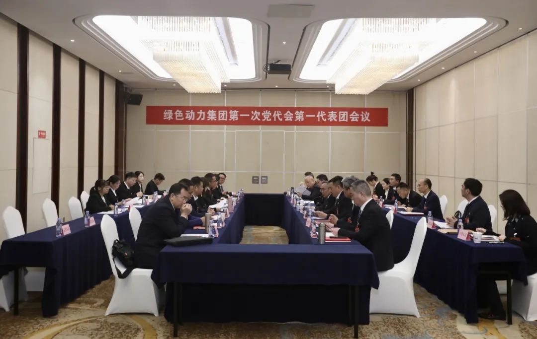 铭刻使命再出发，，，，代表热议“两委”报告